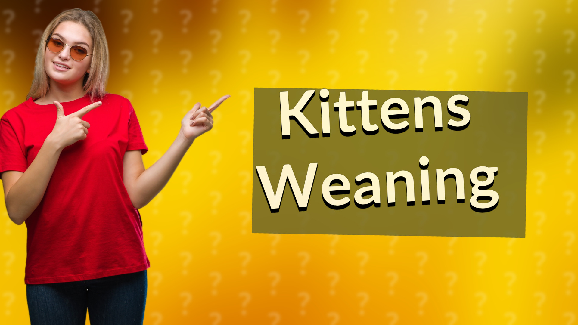 Kittens Weaning
