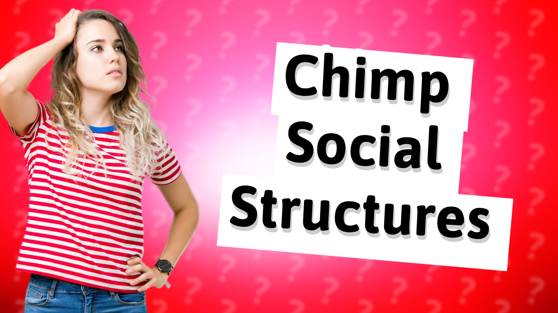 Chimp Social Structures