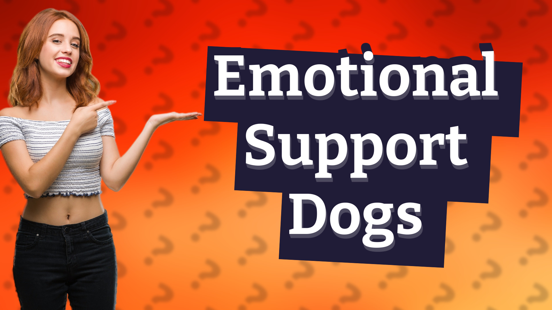 Emotional Support Dogs