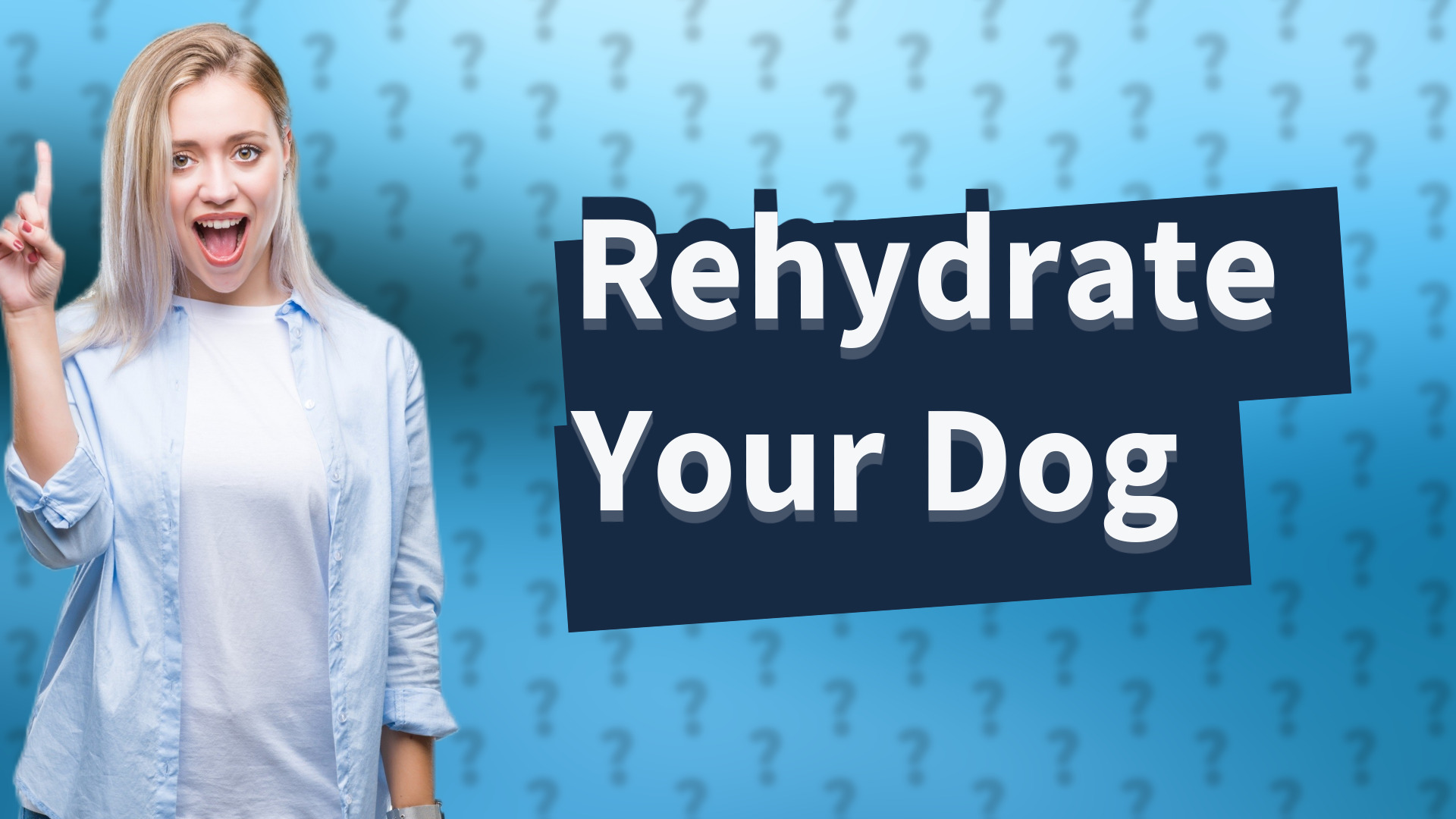 Rehydrate Your Dog