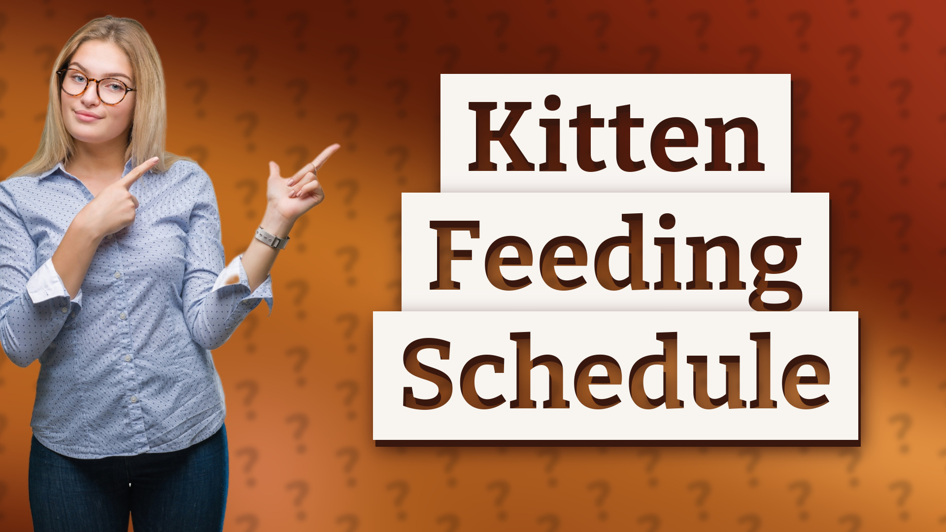 Kitten Feeding Schedule