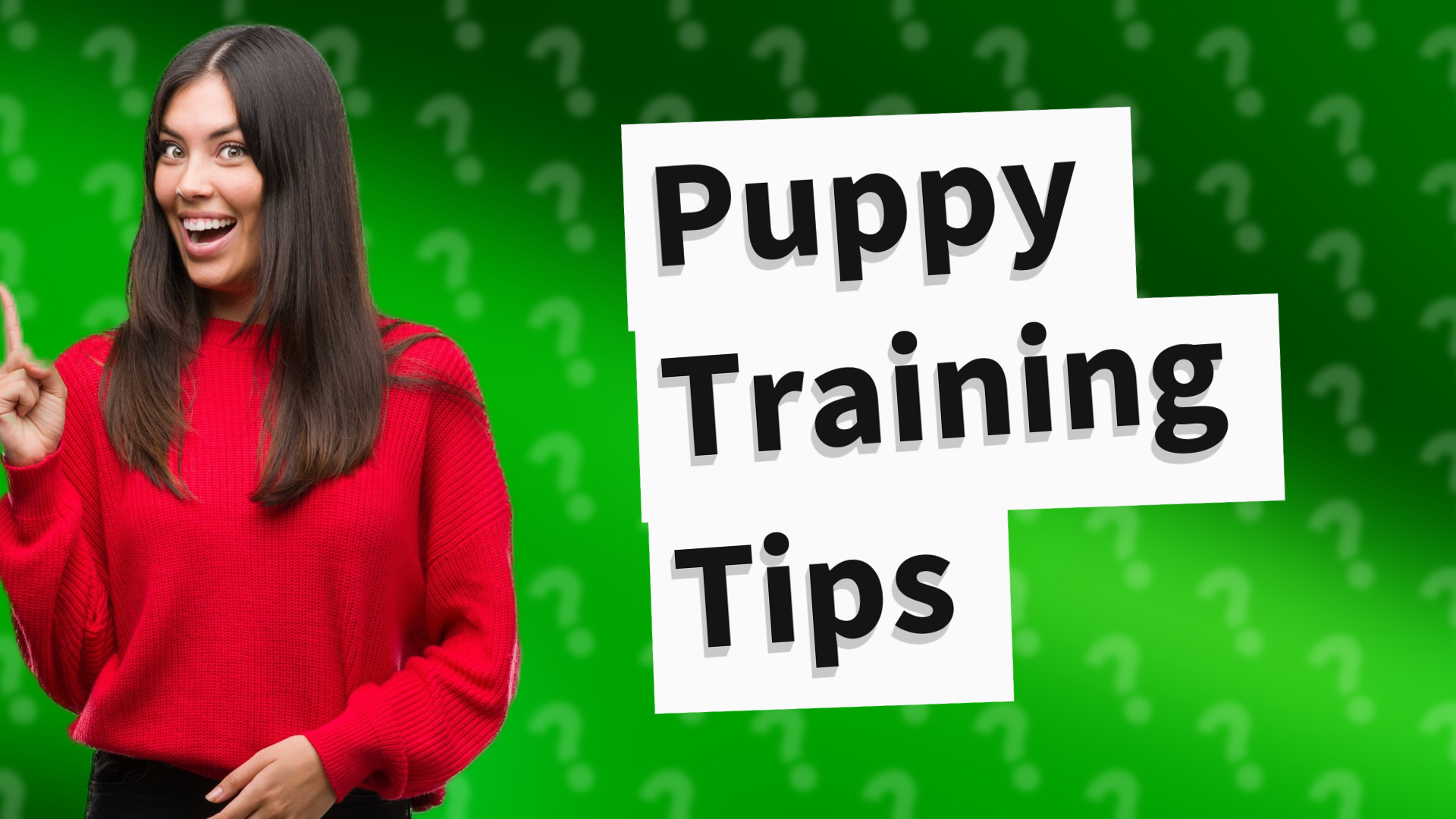Puppy Training Tips
