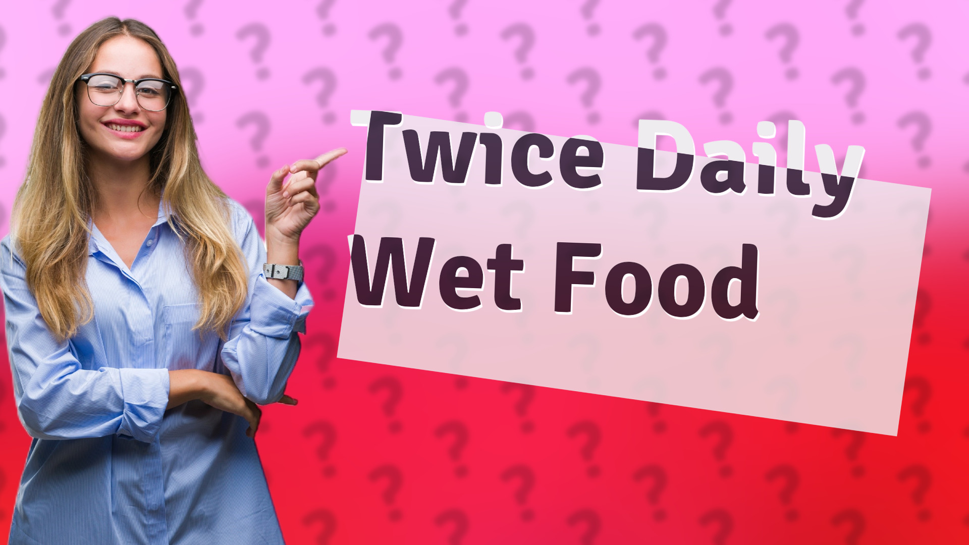Twice Daily Wet Food