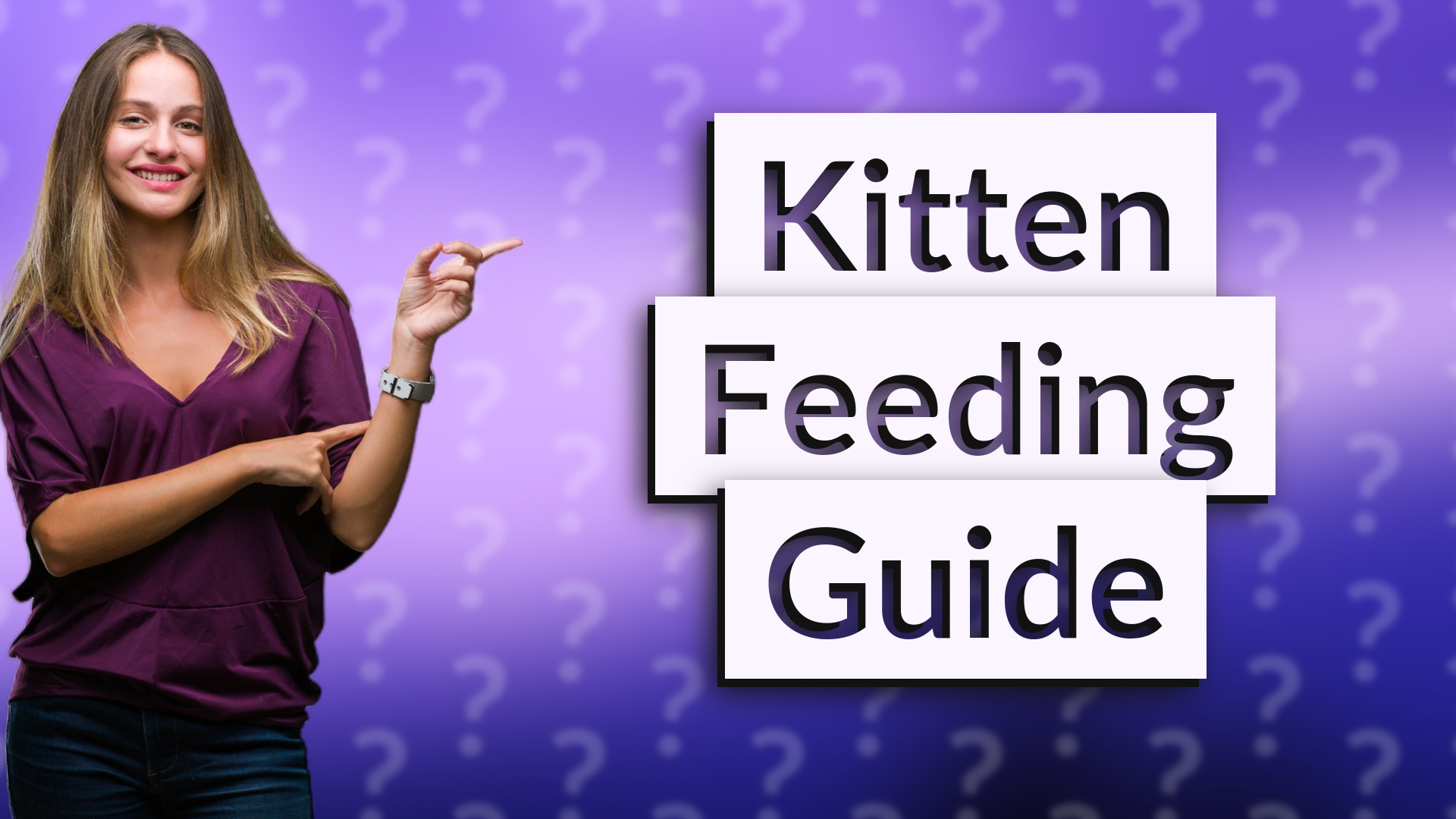 Kitten Feeding Guide