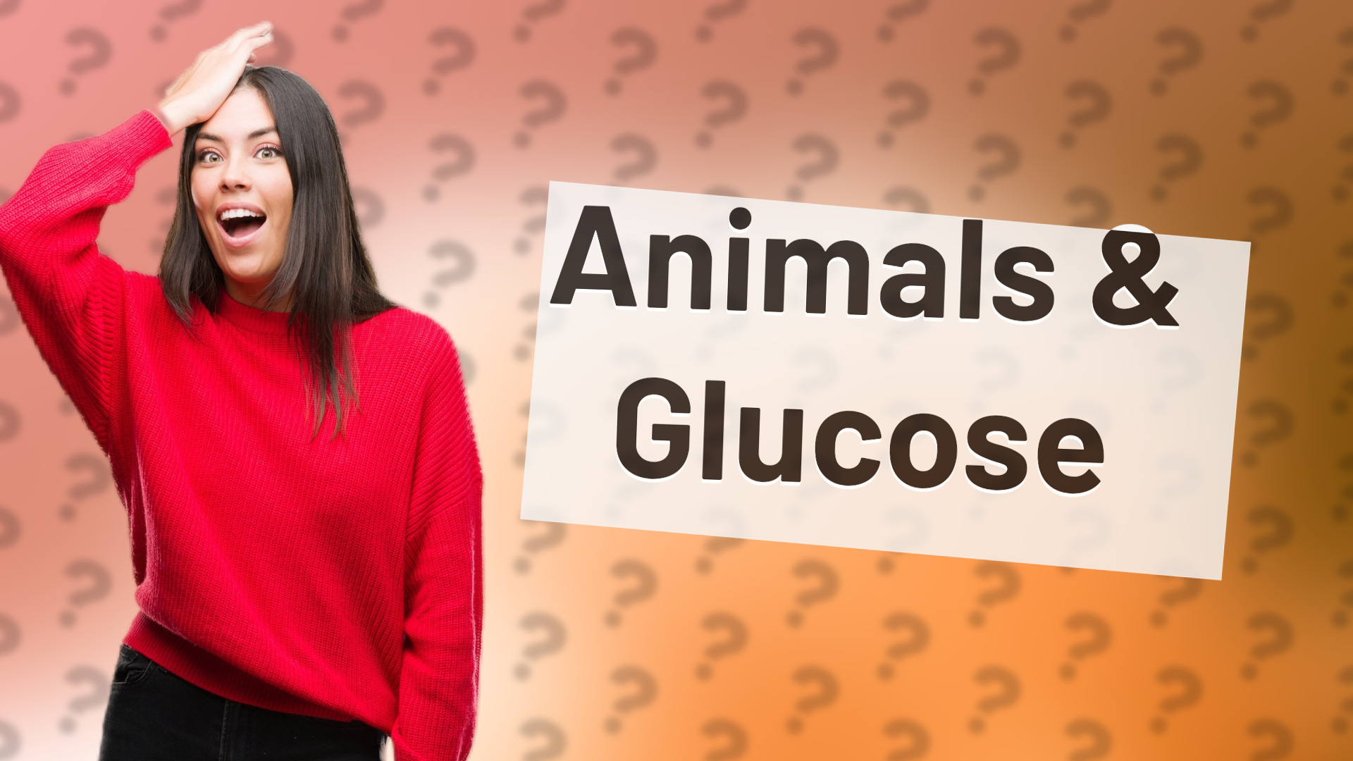Animals & Glucose