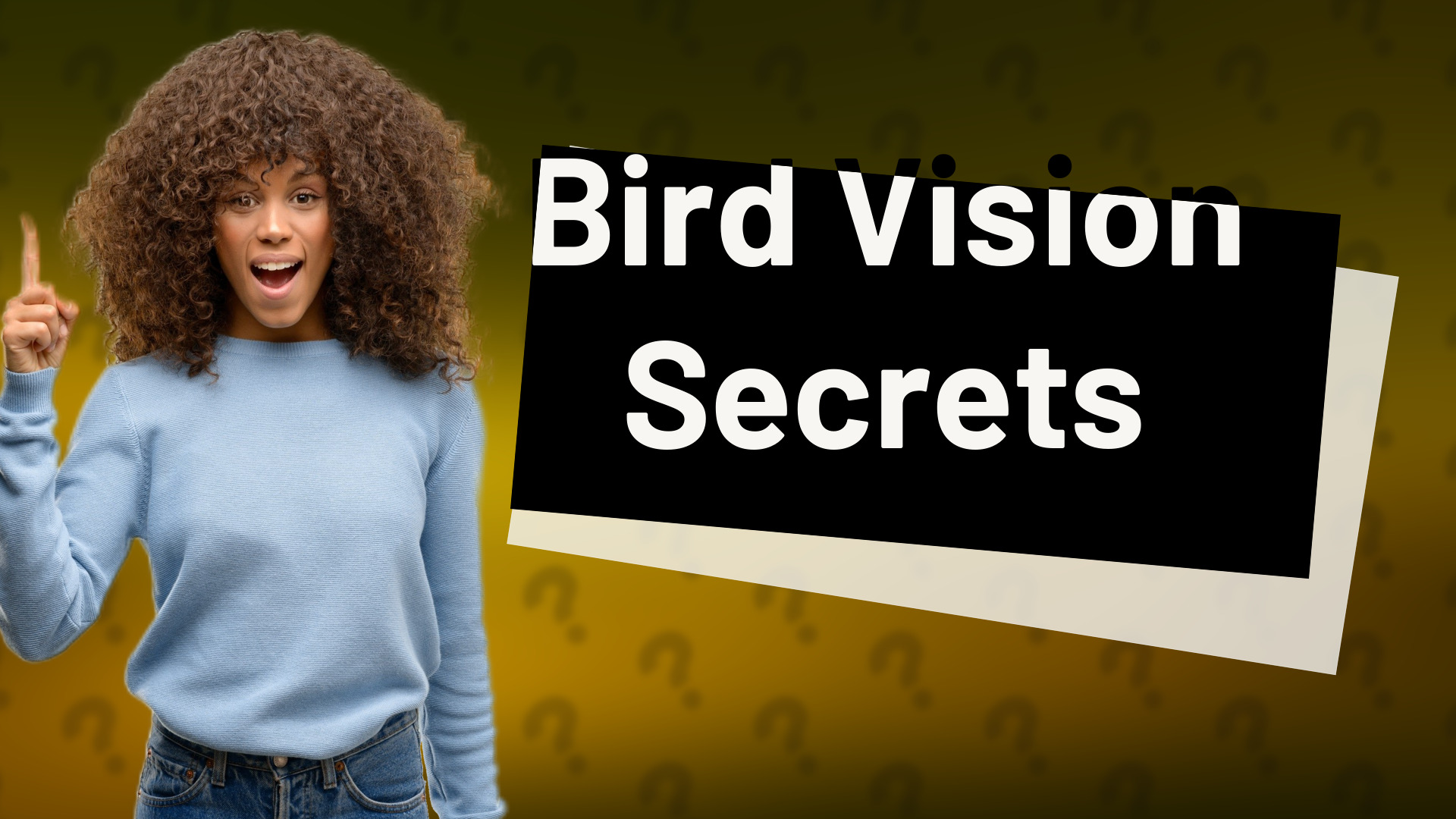 Bird Vision Secrets