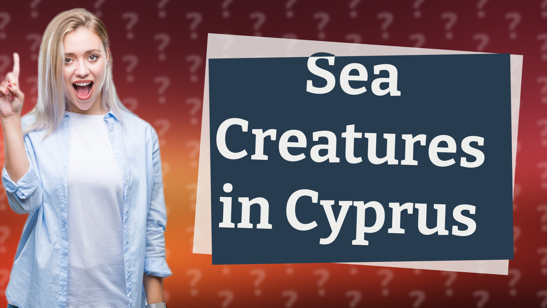 Sea Creatures in Cyprus