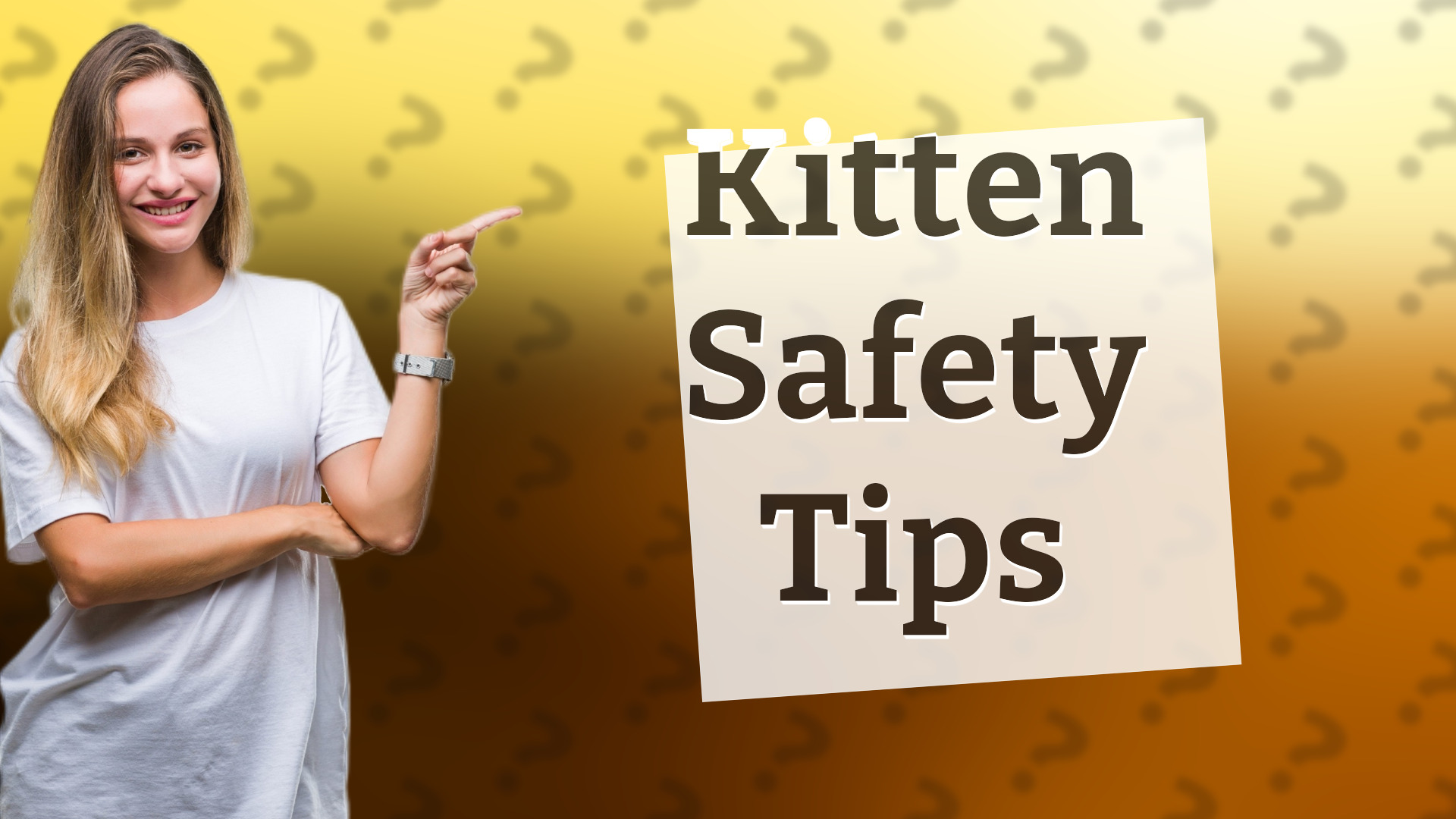 Kitten Safety Tips