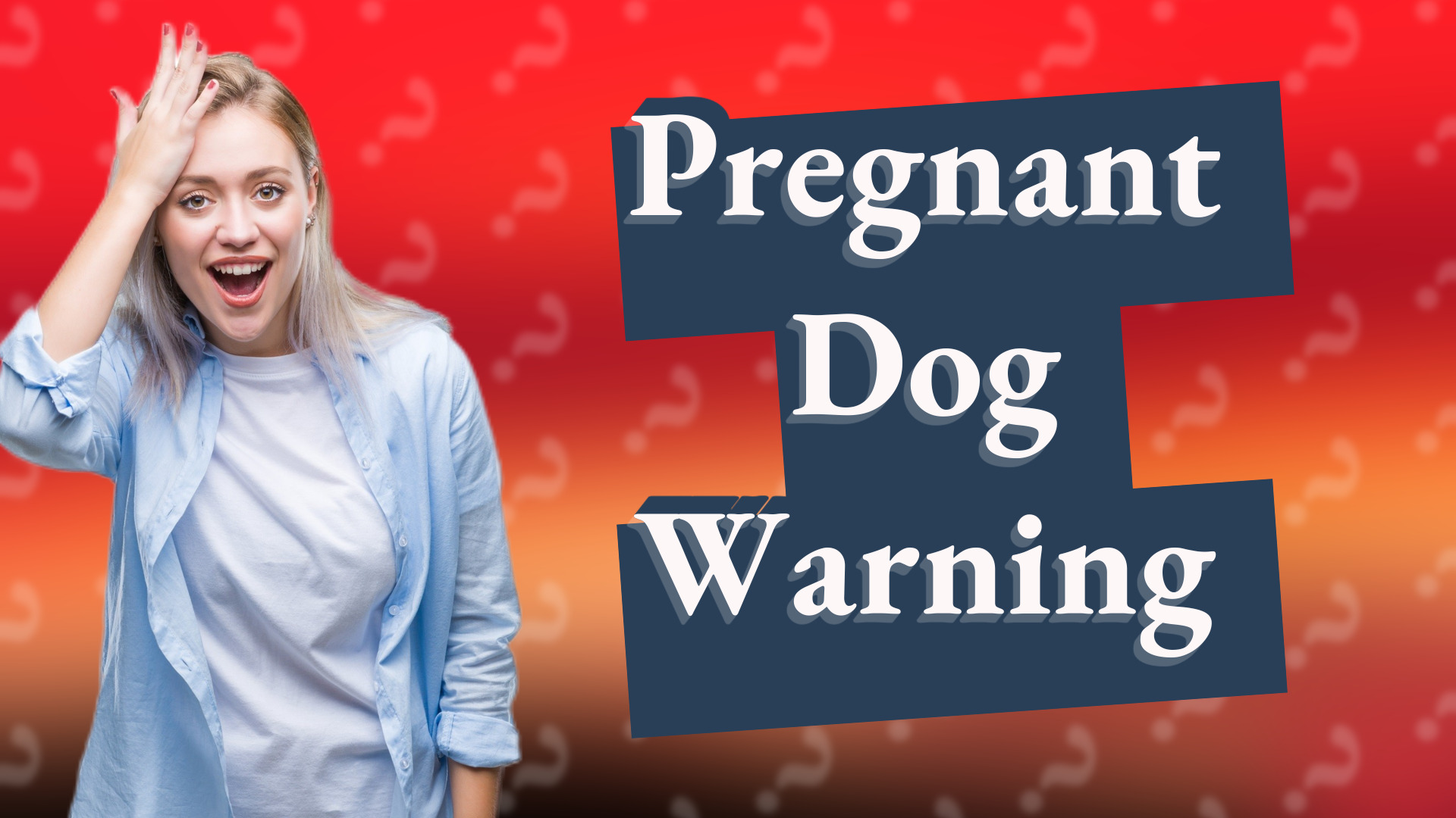 Pregnant Dog Warning