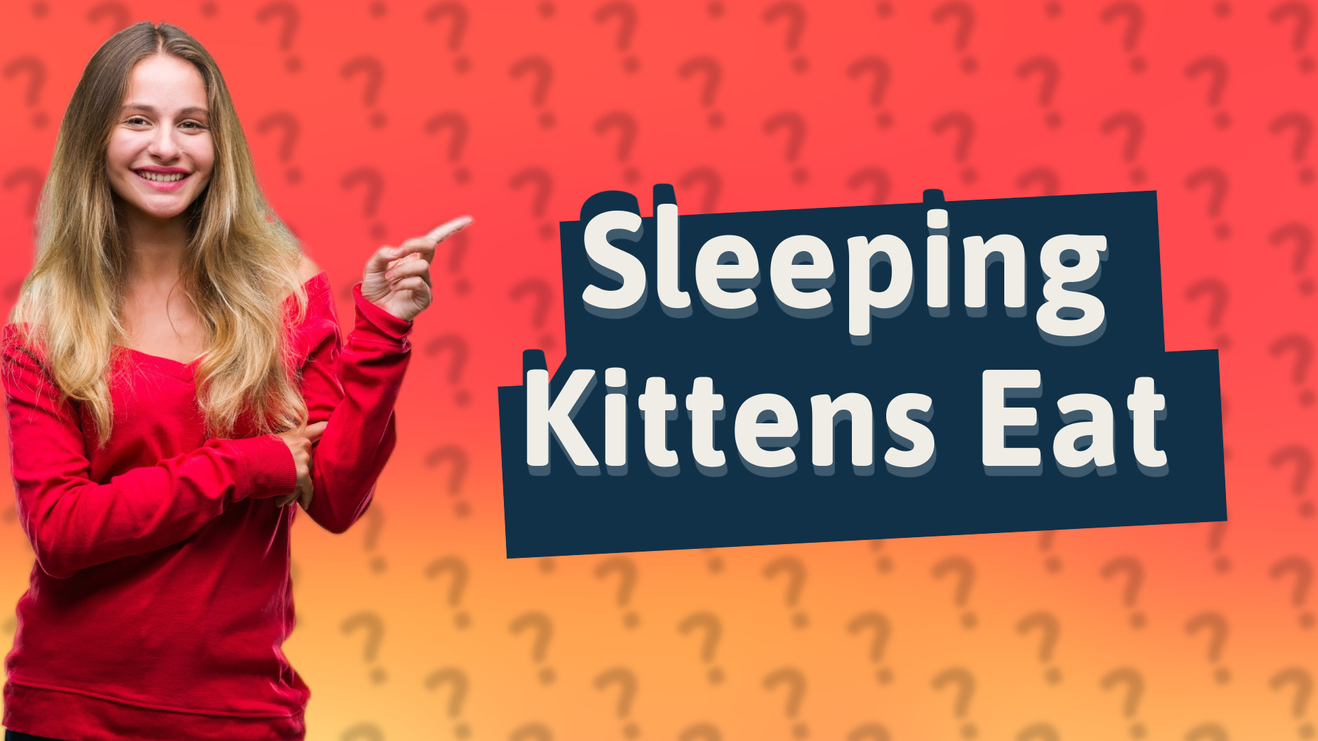 Sleeping Kittens Eat