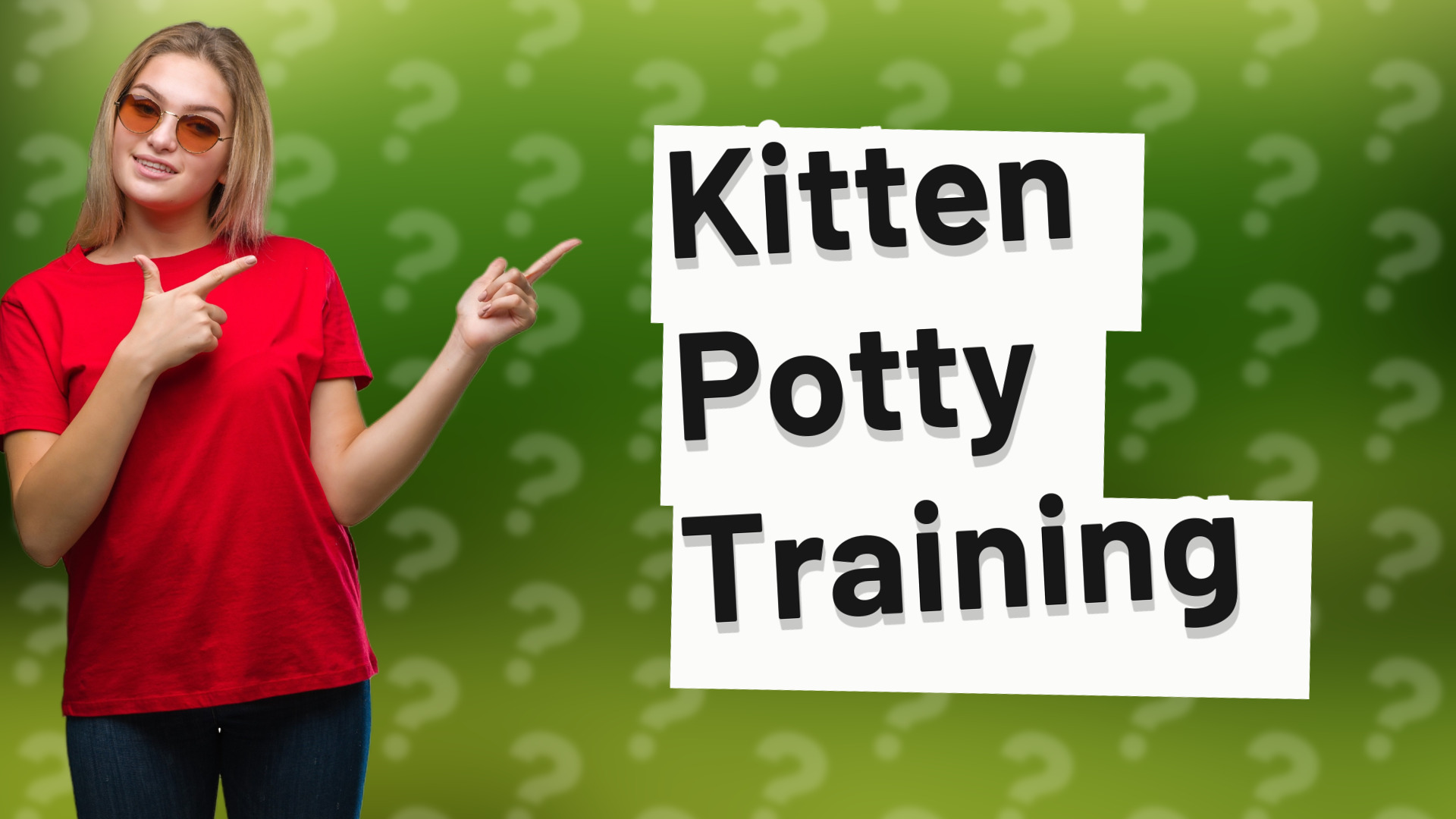 Kitten Potty Training