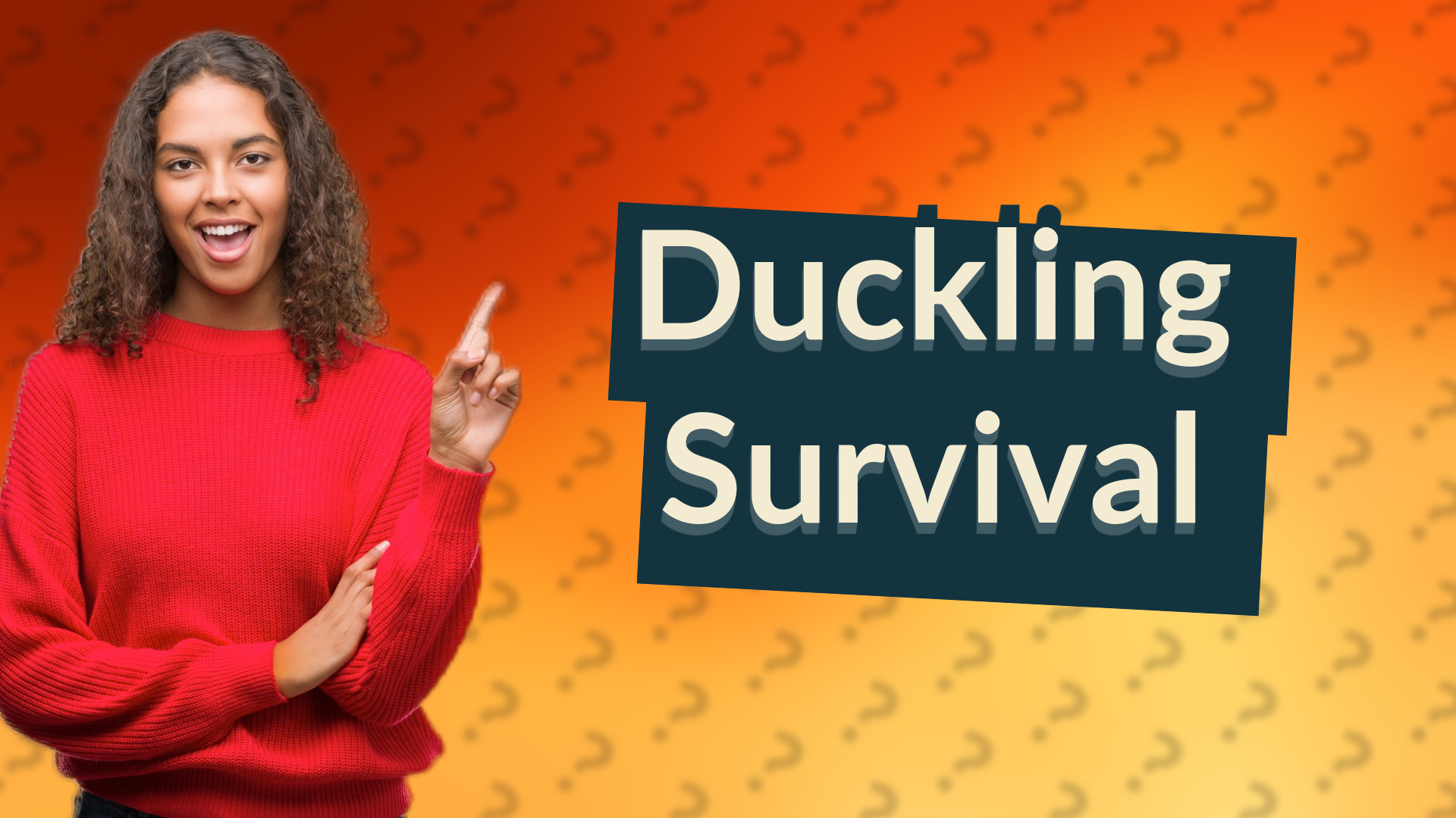 Duckling Survival