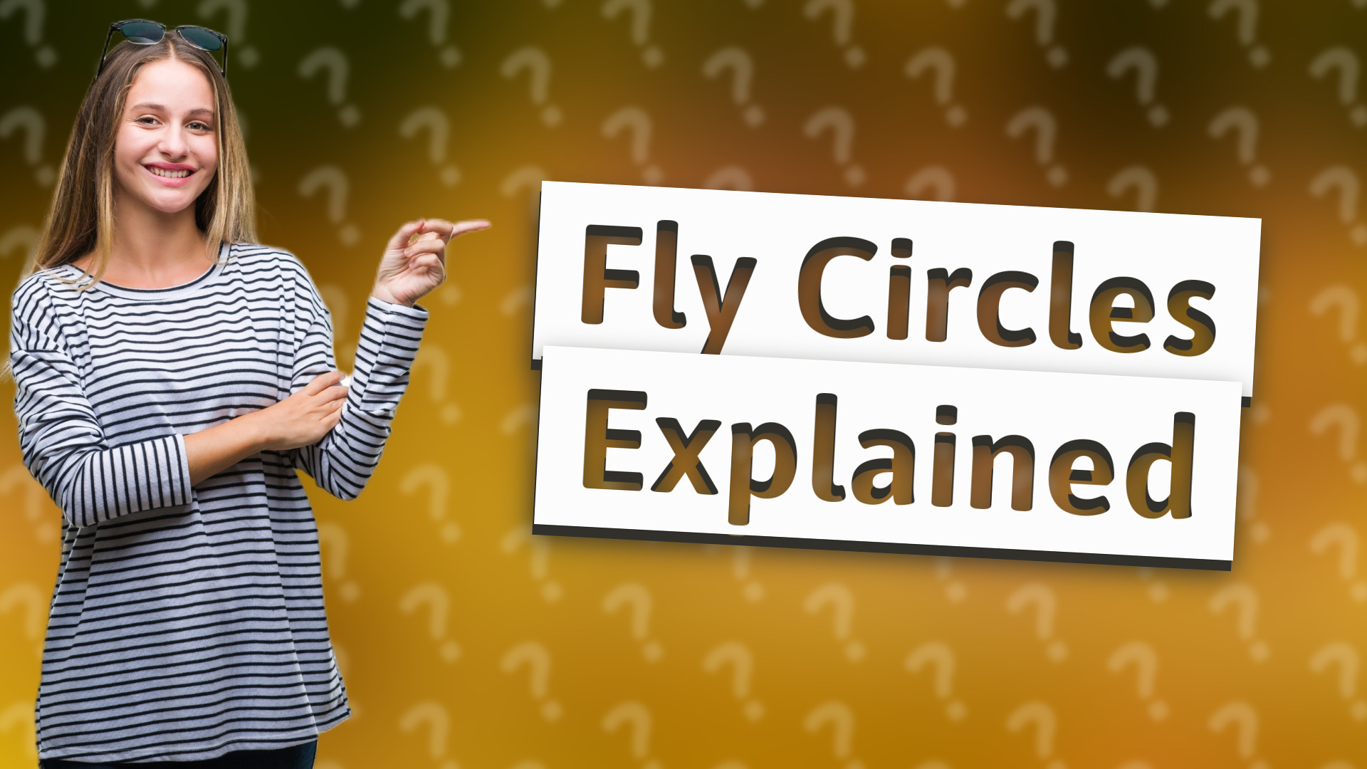 Fly Circles Explained
