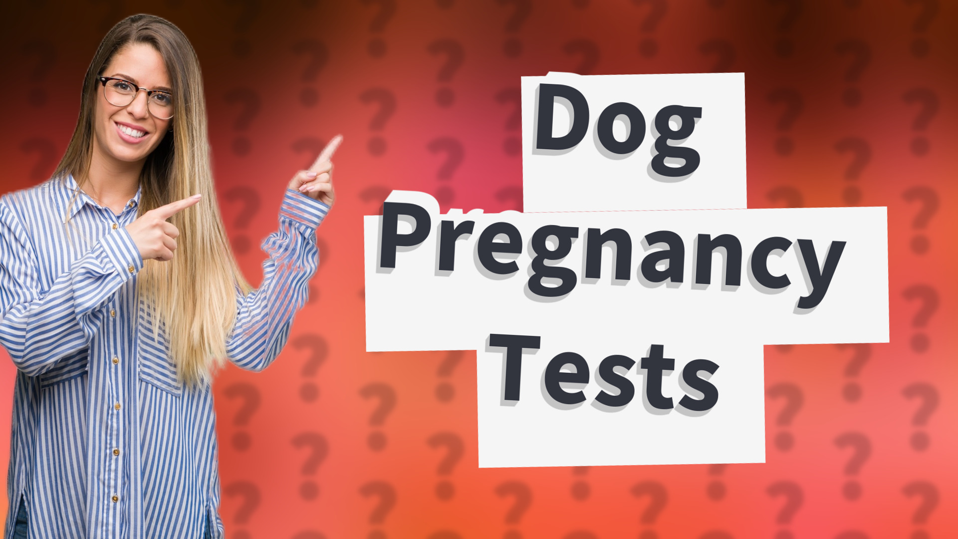 Dog Pregnancy Tests