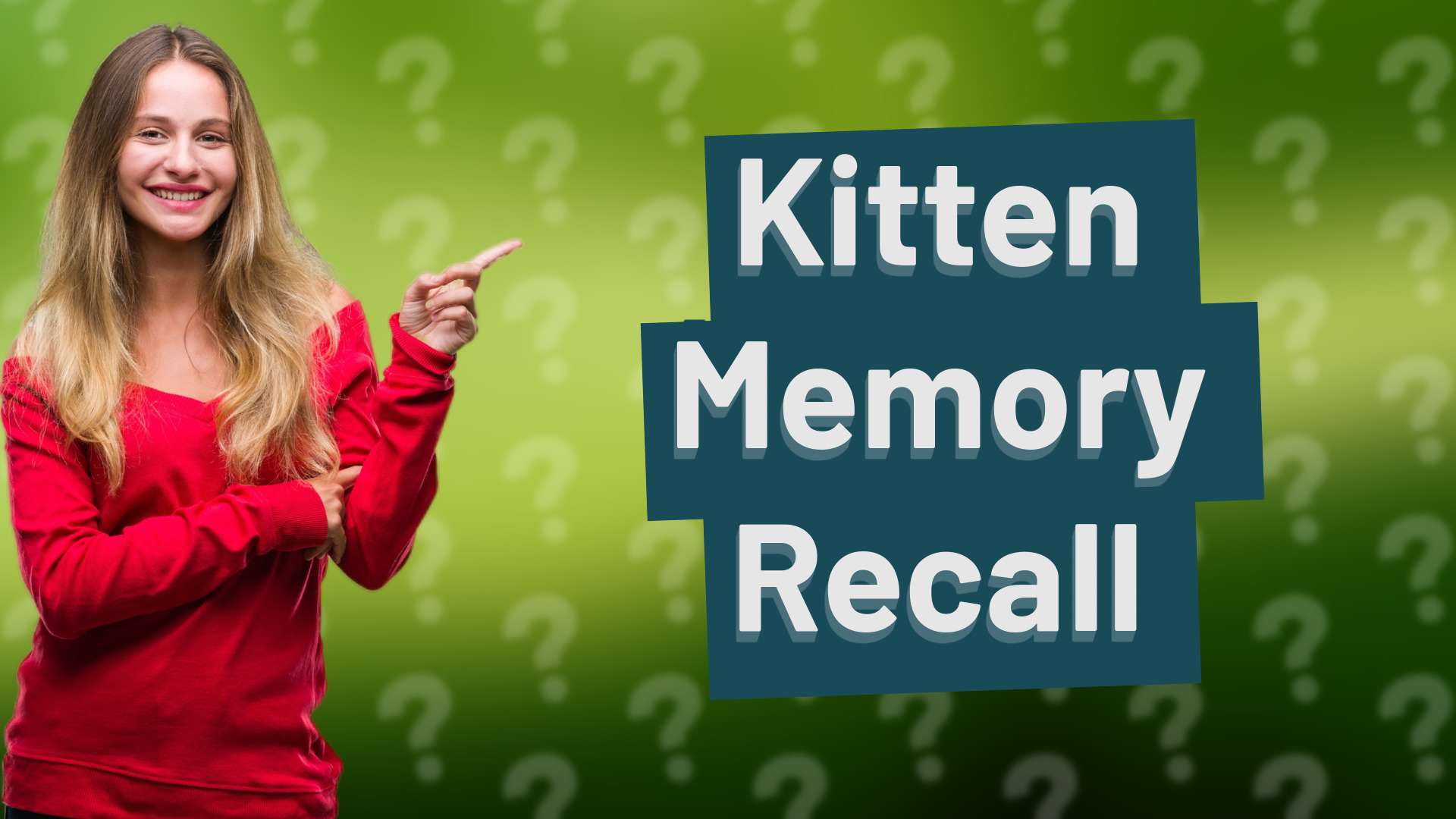 Kitten Memory Recall