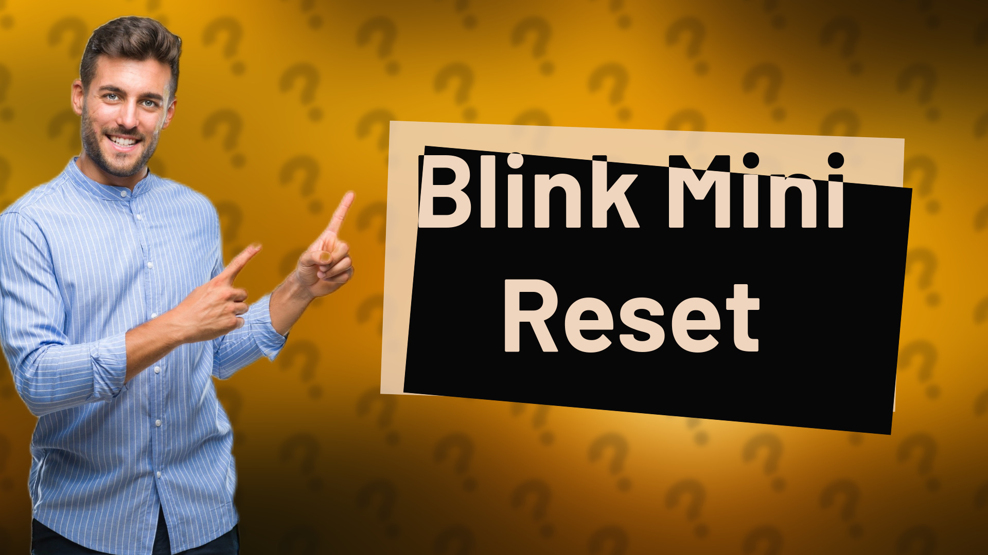 Blink Mini Reset