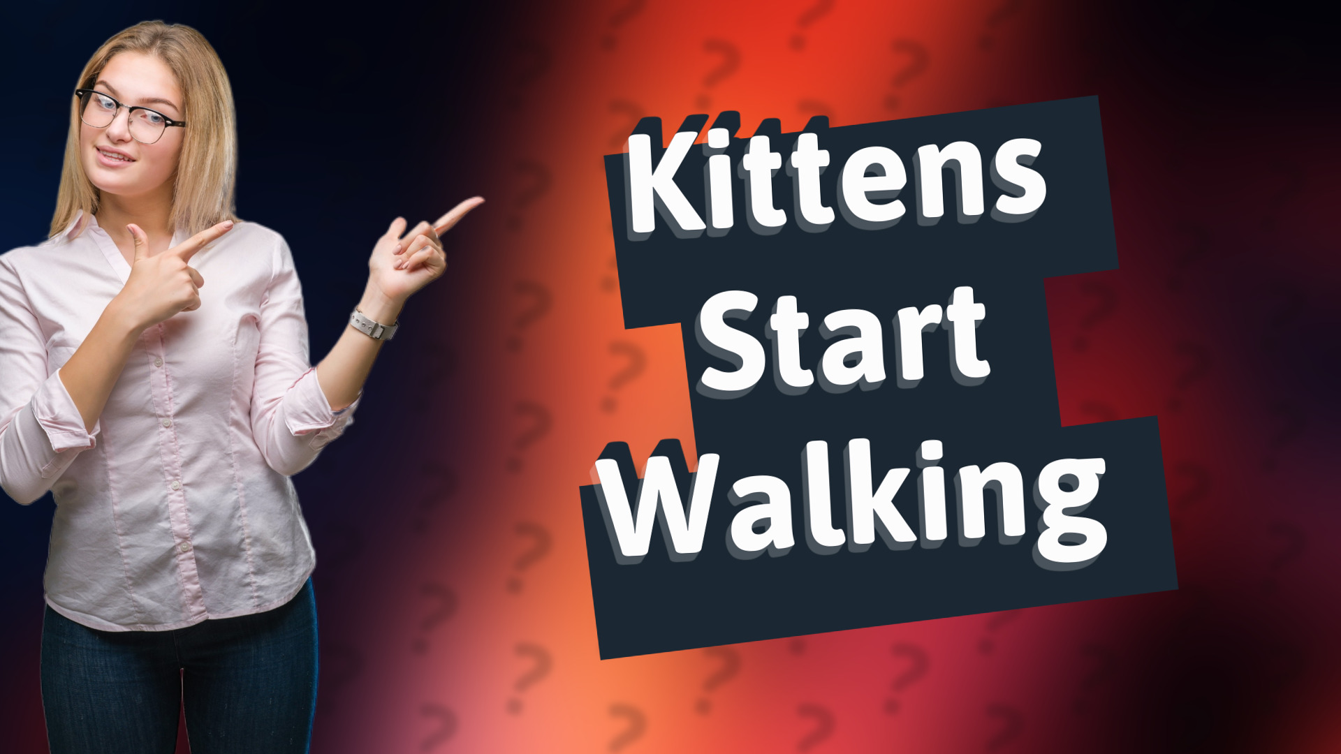 Kittens Start Walking