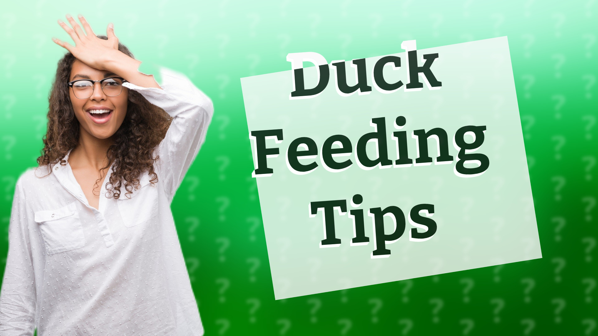 Duck Feeding Tips
