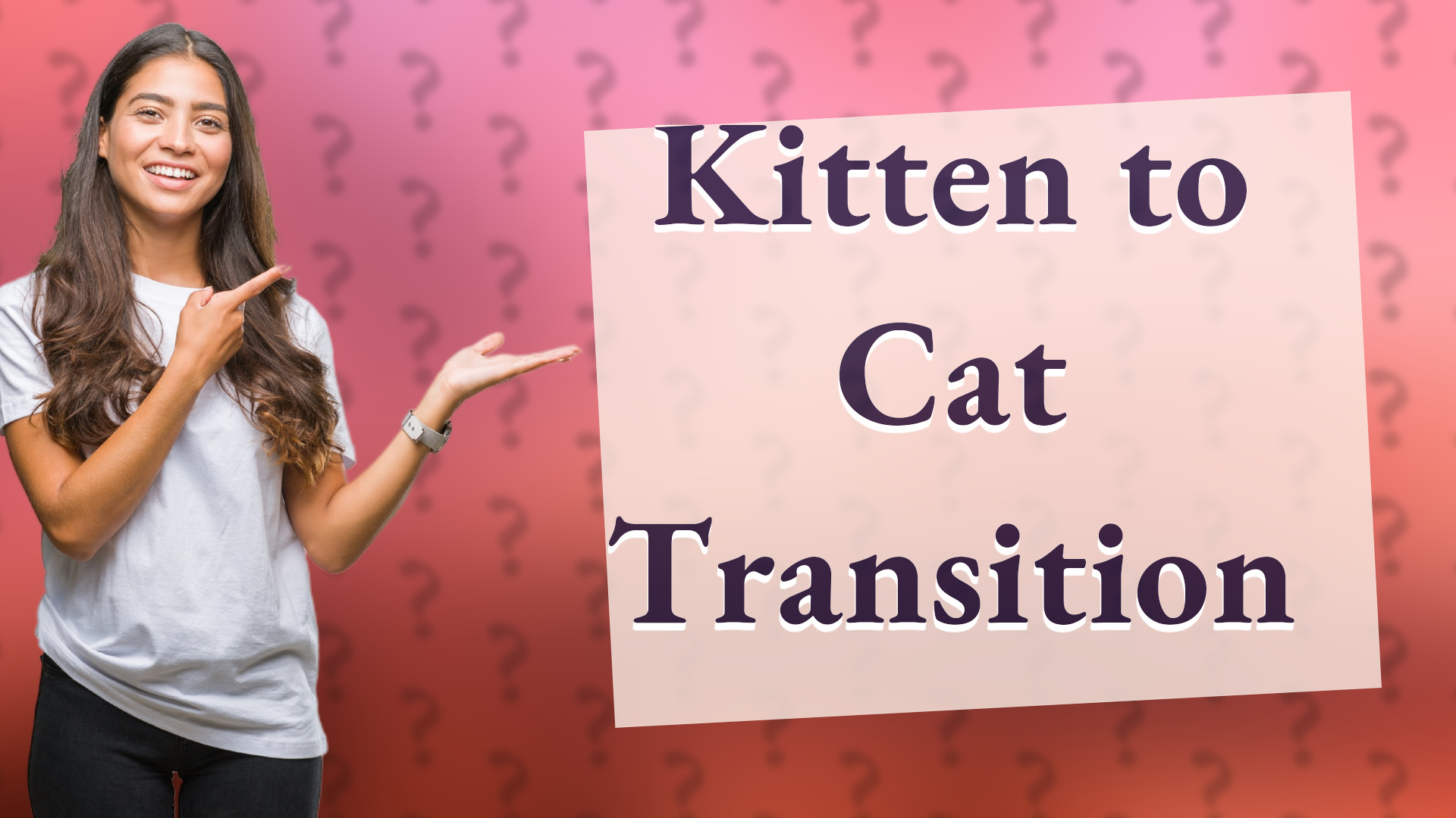 Kitten to Cat Transition