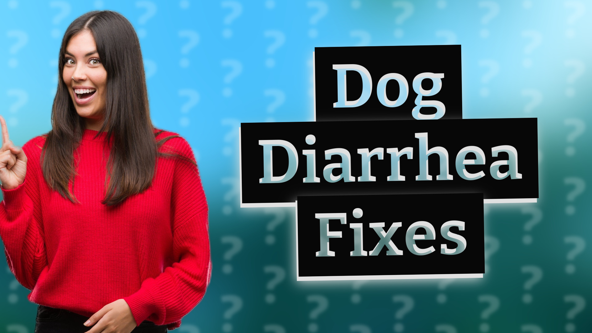 Dog Diarrhea Fixes