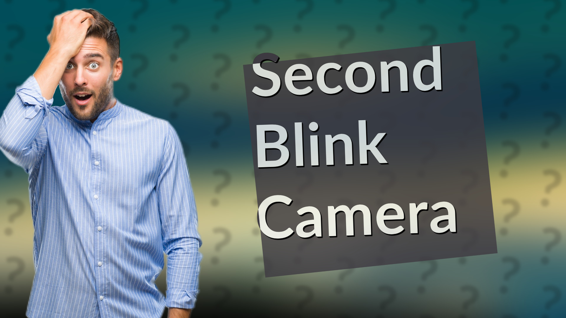Second Blink Camera
