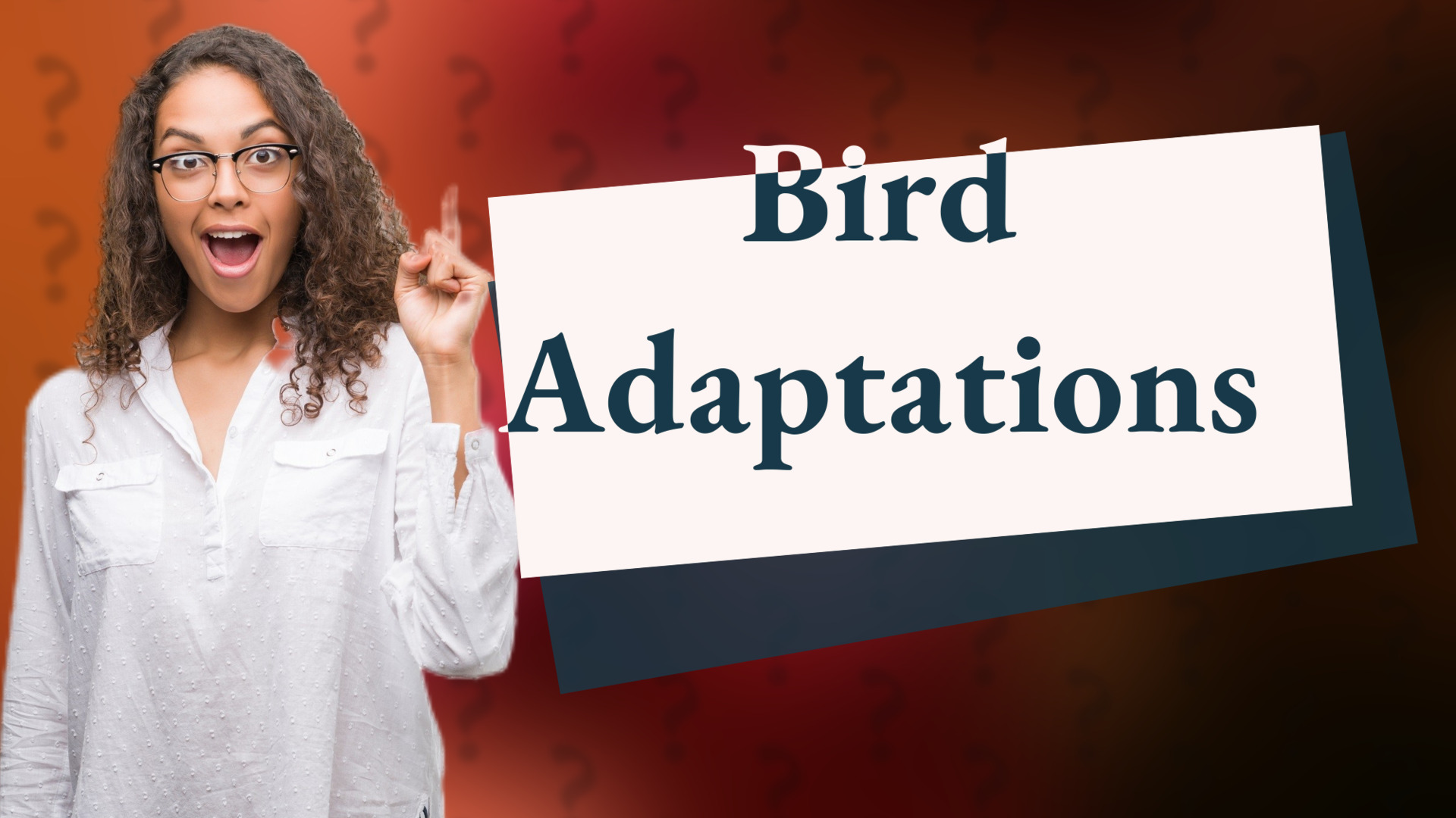 Bird Adaptations