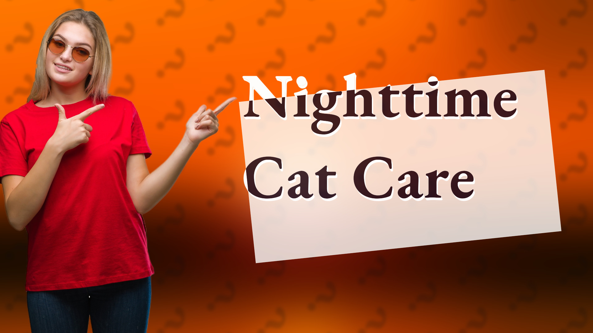 Nighttime Cat Care