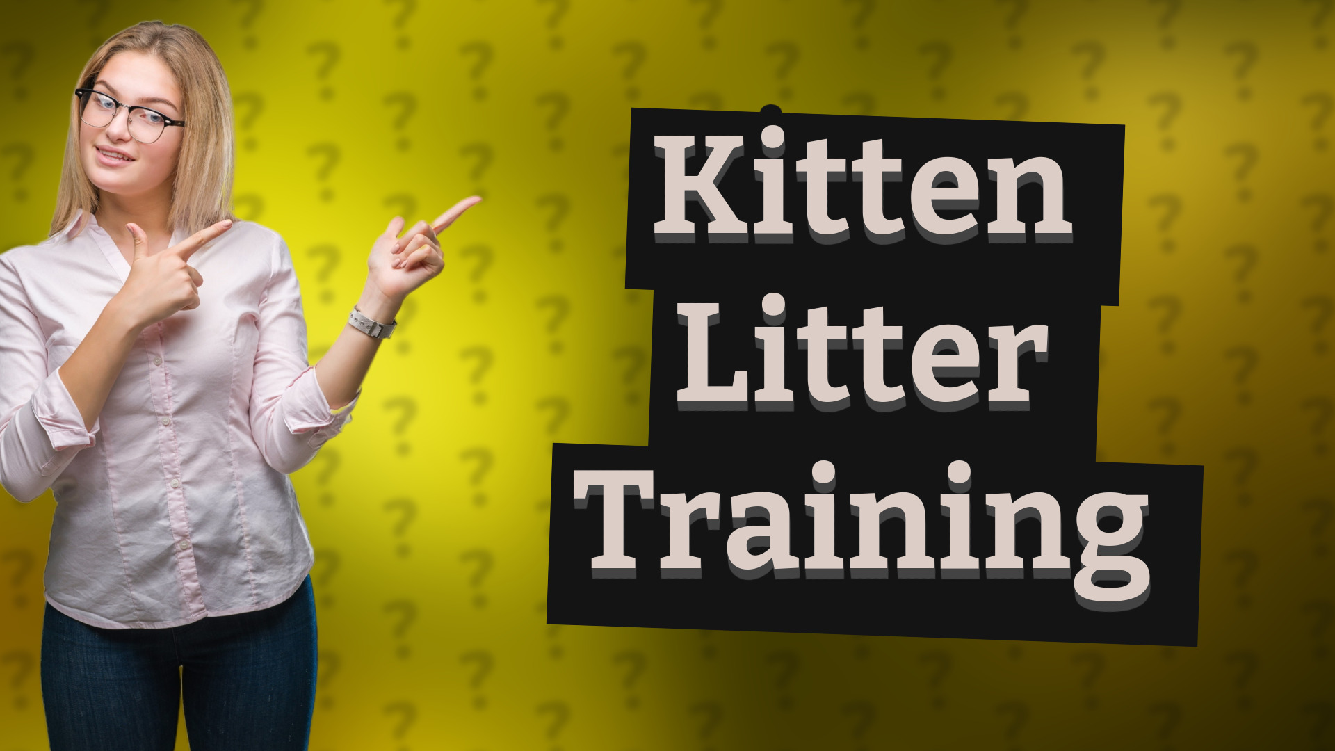 Kitten Litter Training