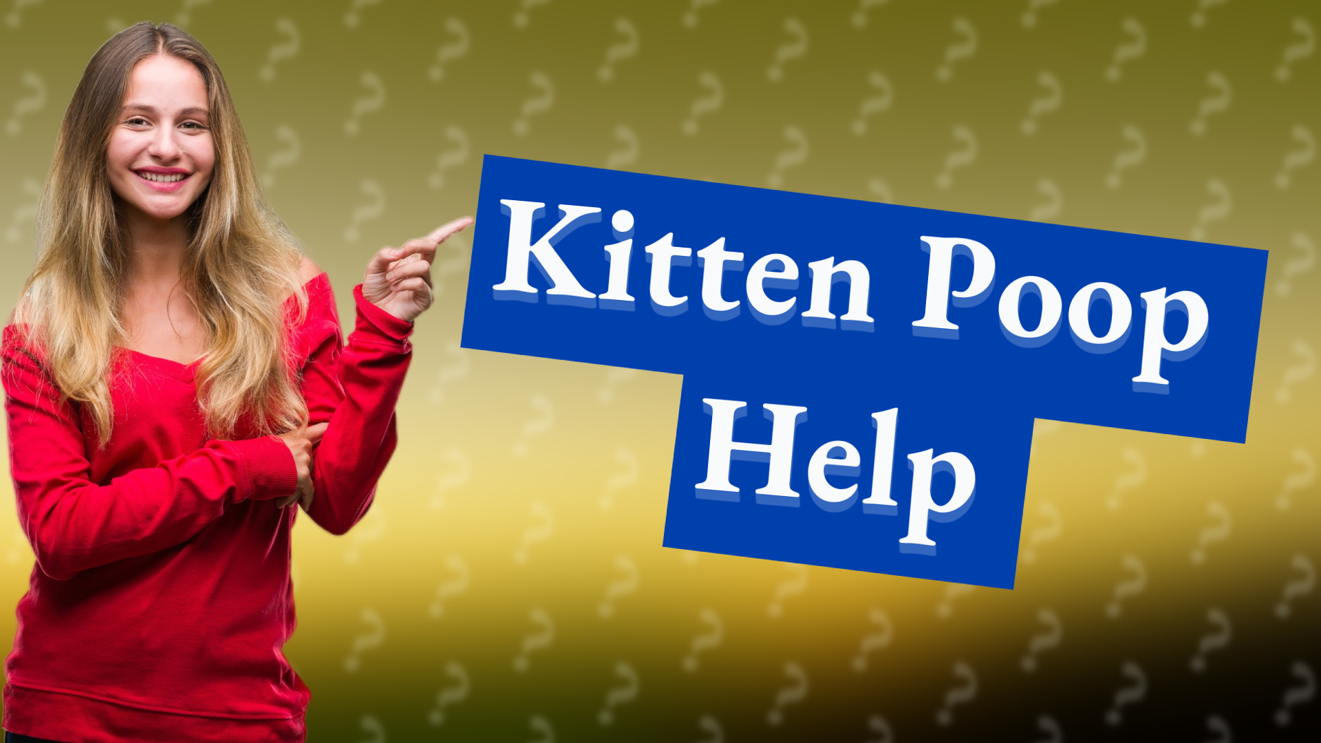 Kitten Poop Help
