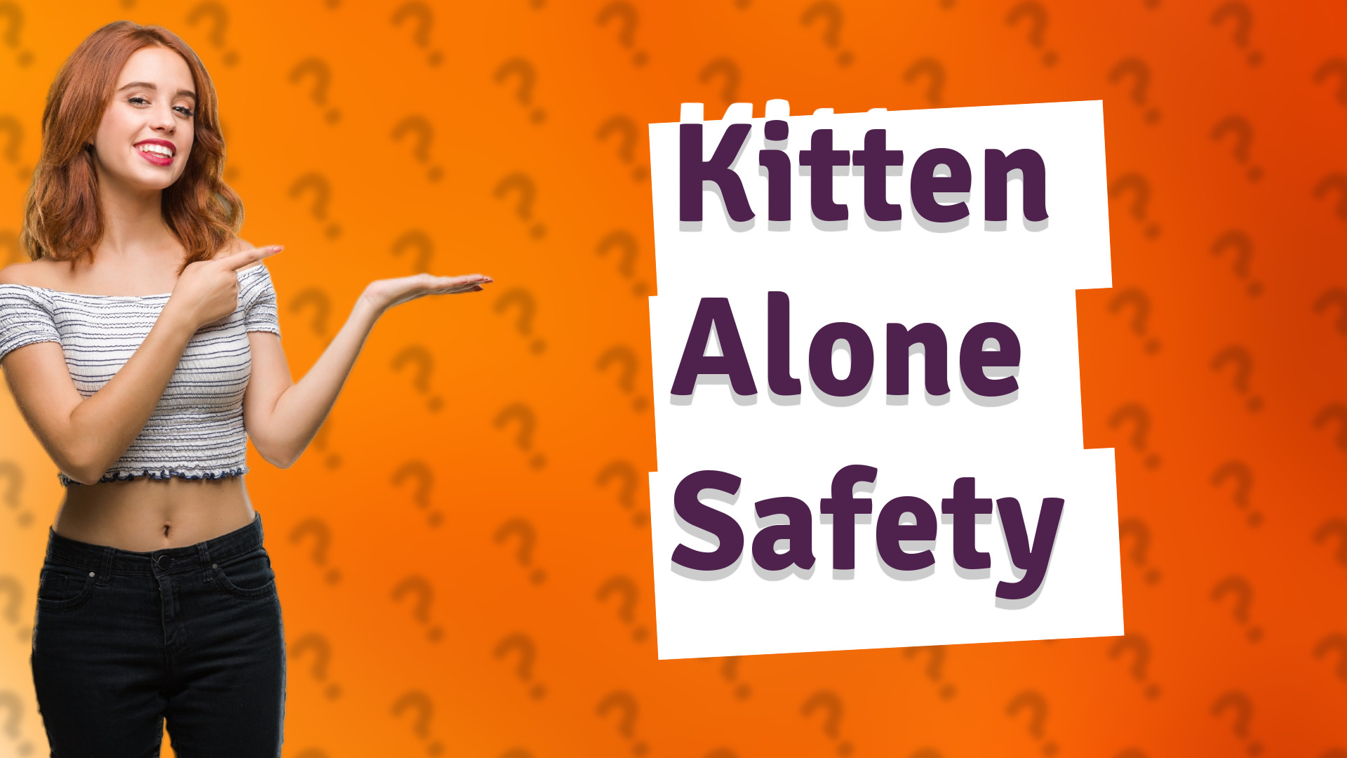 Kitten Alone Safety
