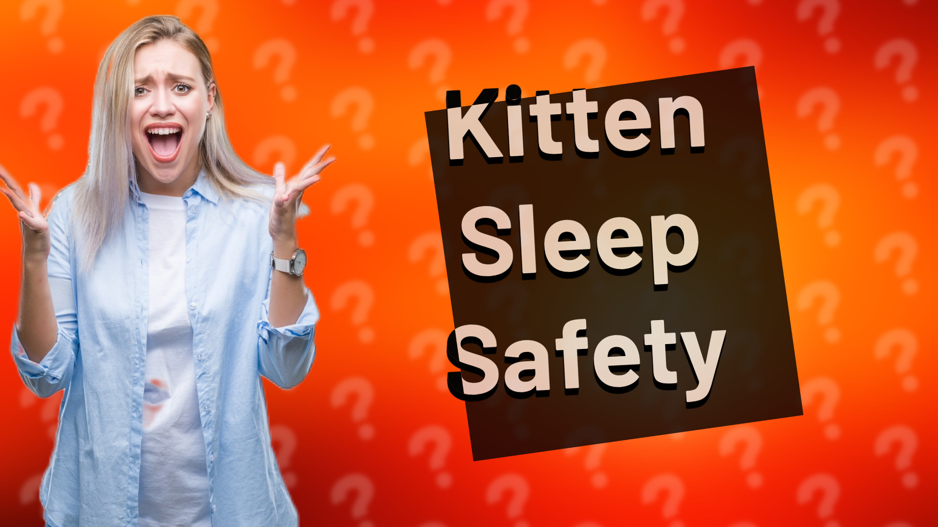 Kitten Sleep Safety