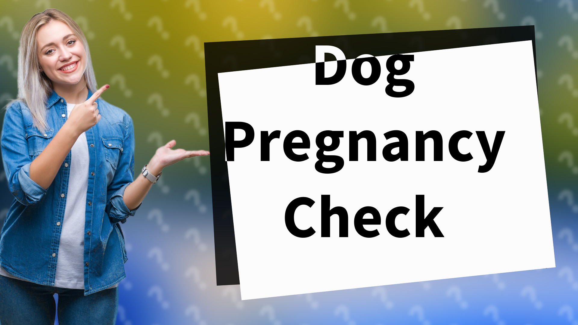 Dog Pregnancy Check