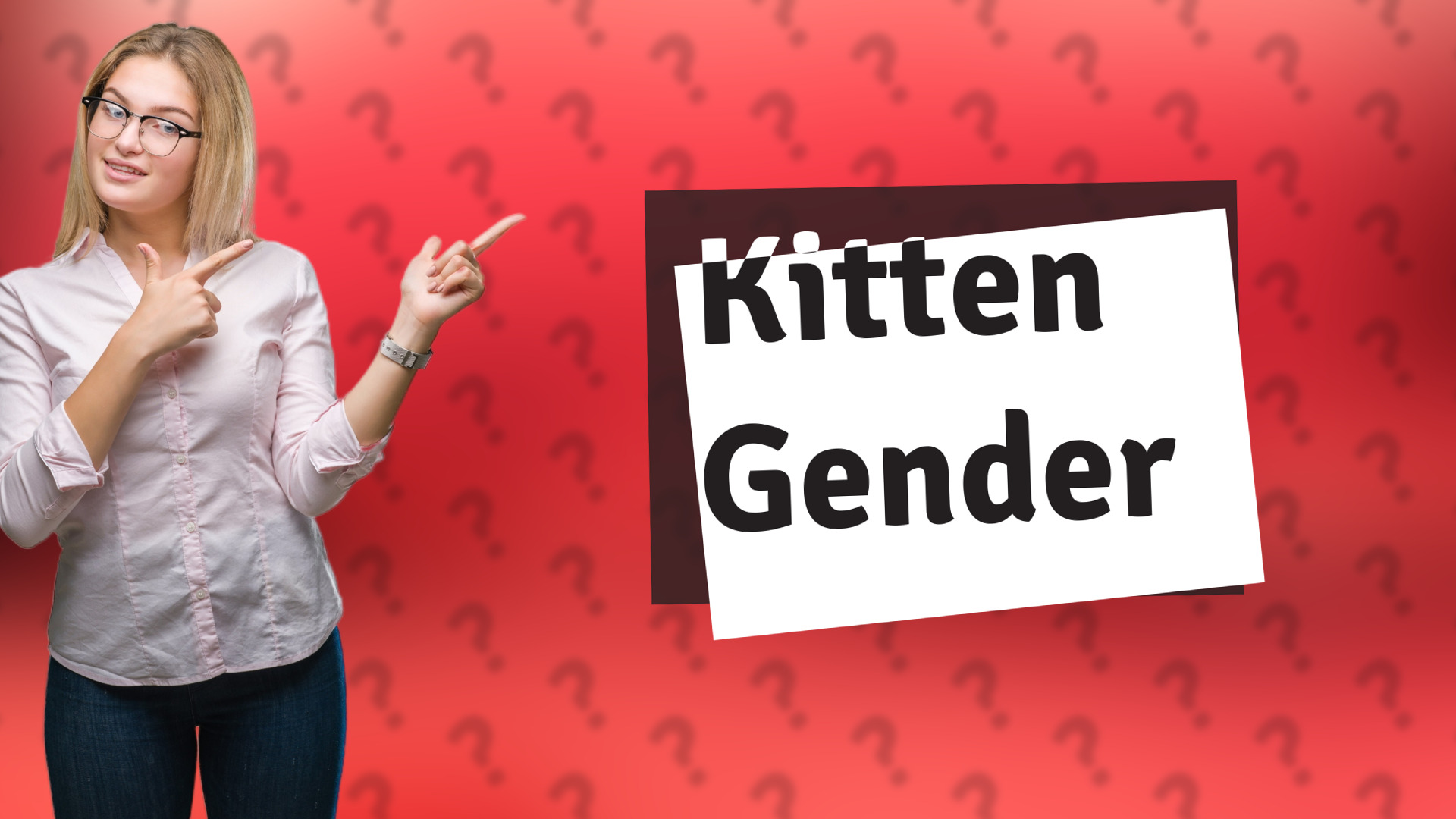 Kitten Gender