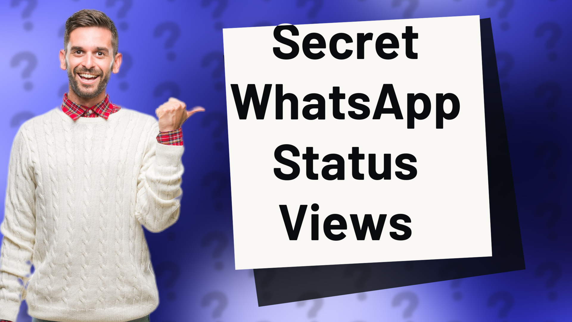Secret WhatsApp Status Views