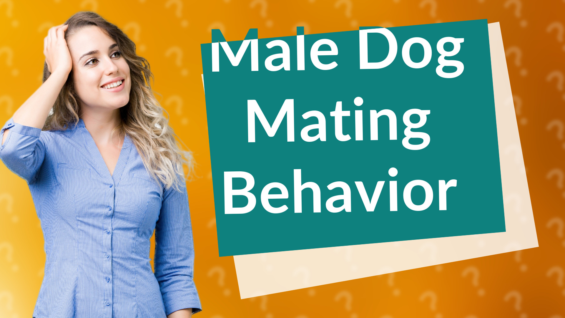 Male Dog Mating Behavior