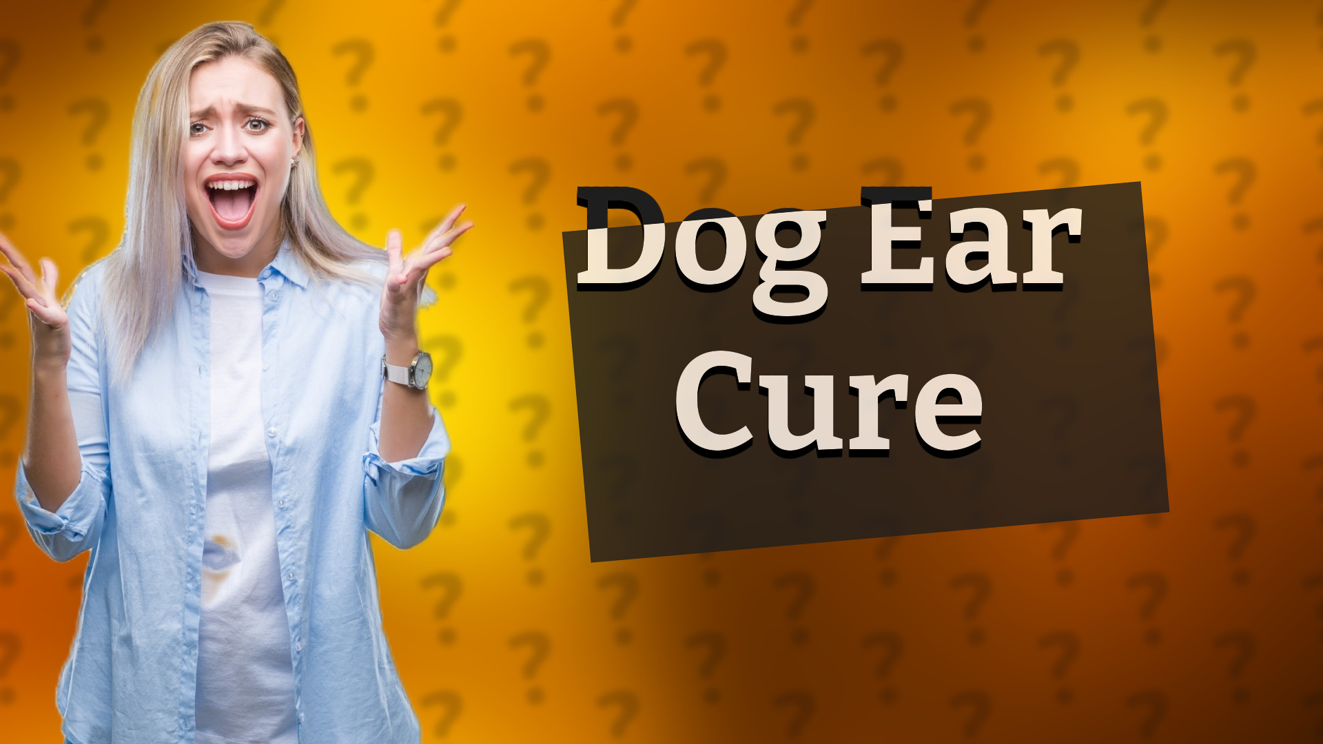 Dog Ear Cure