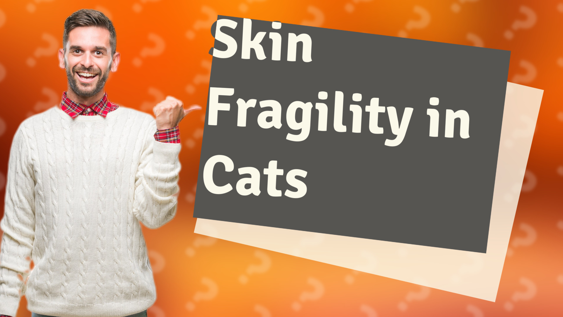 Skin Fragility in Cats
