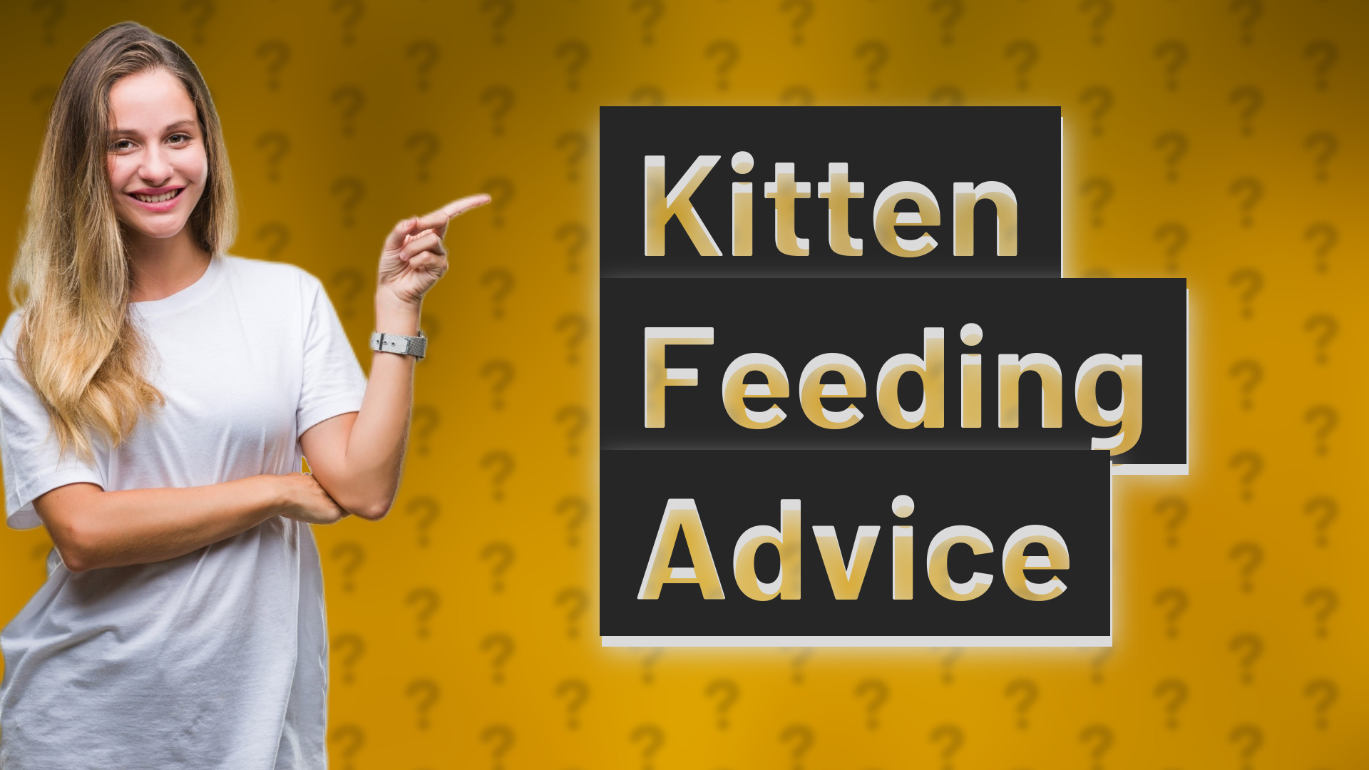 Kitten Feeding Advice