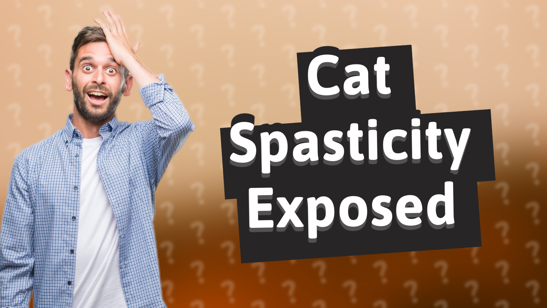 Cat Spasticity Exposed