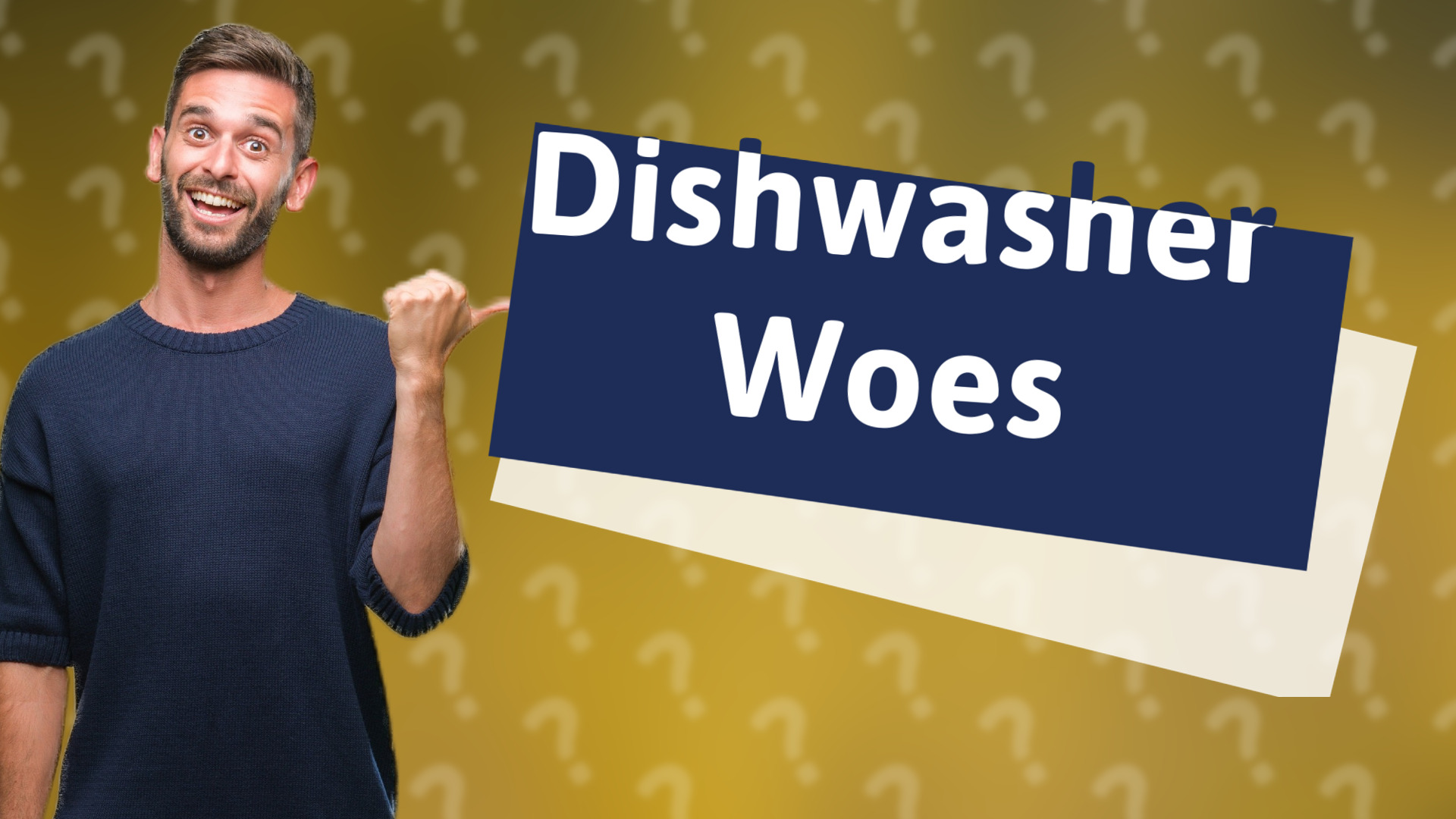 Dishwasher Woes