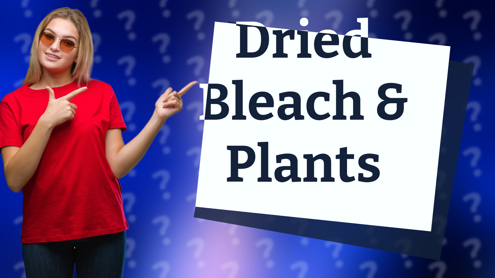 Dried Bleach & Plants