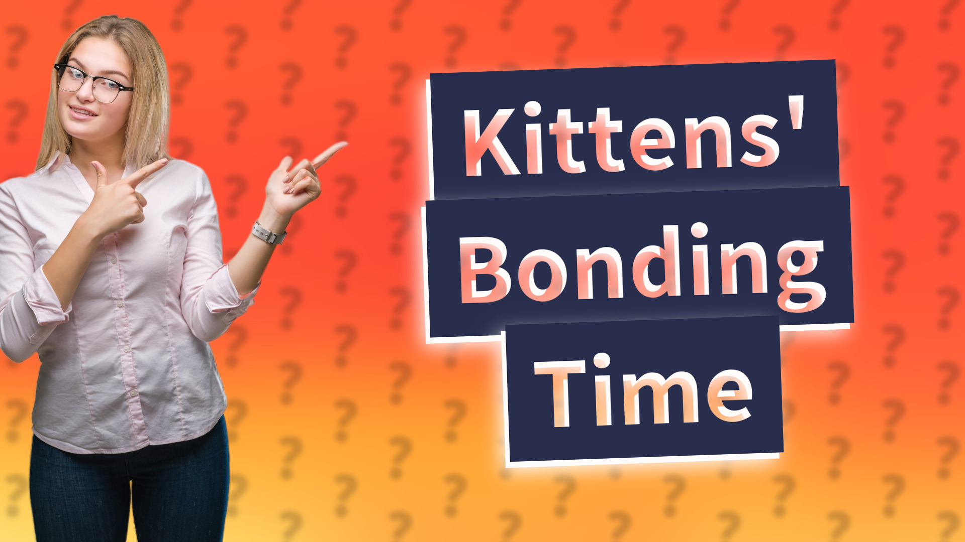 Kittens' Bonding Time