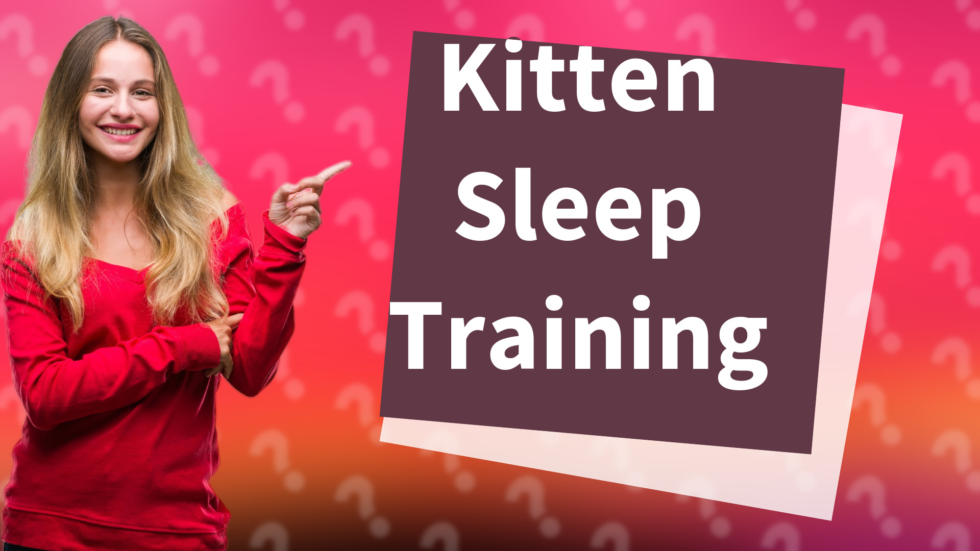 Kitten Sleep Training