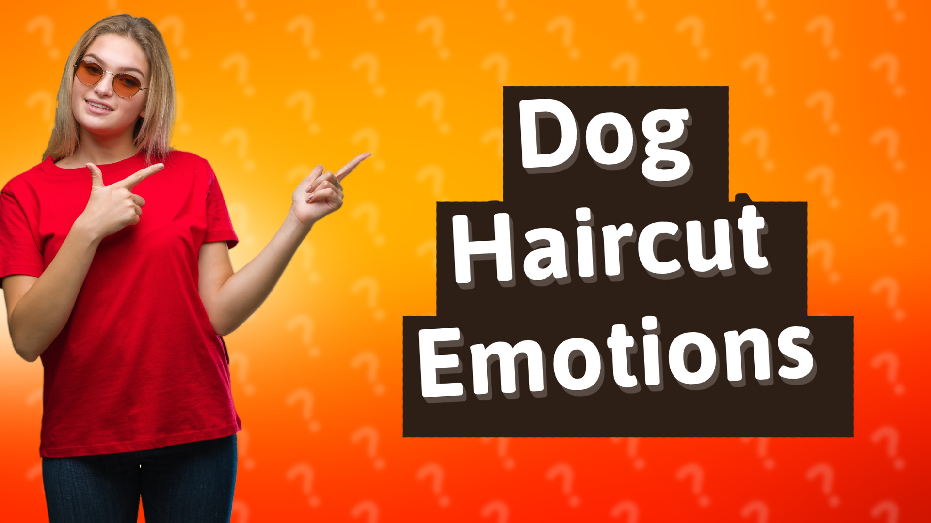 Dog Haircut Emotions
