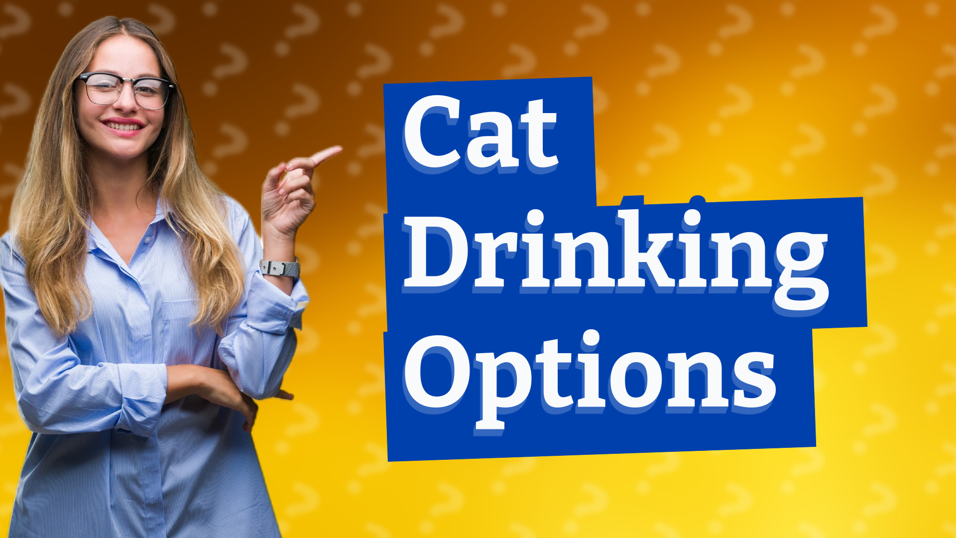 Cat Drinking Options
