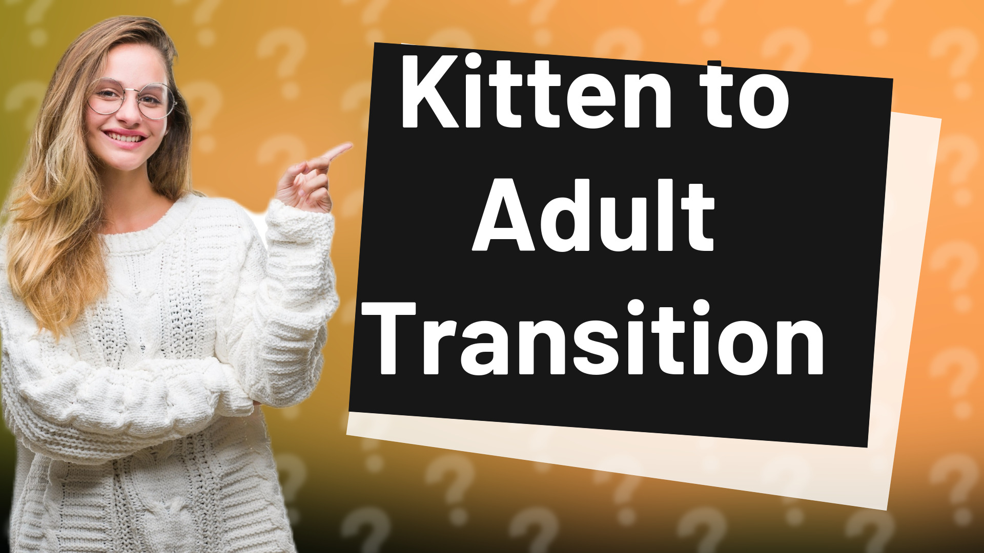 Kitten to Adult Transition