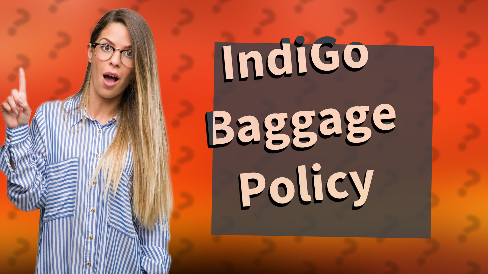 IndiGo Baggage Policy