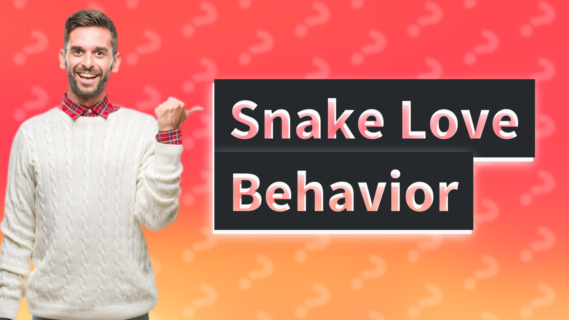 Snake Love Behavior