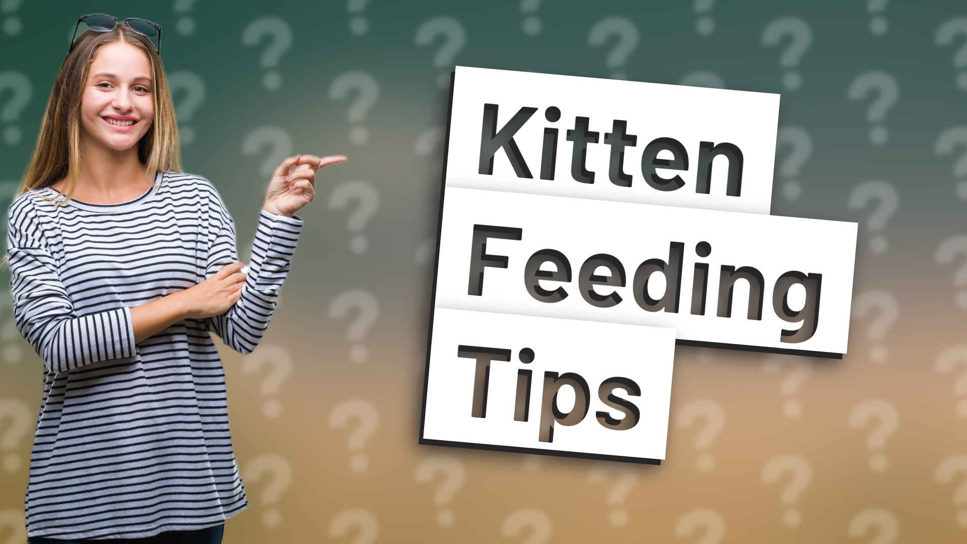 Kitten Feeding Tips