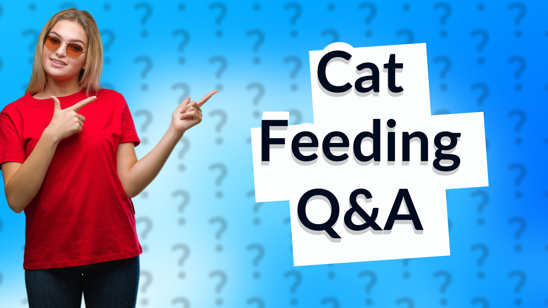 Cat Feeding Q&A